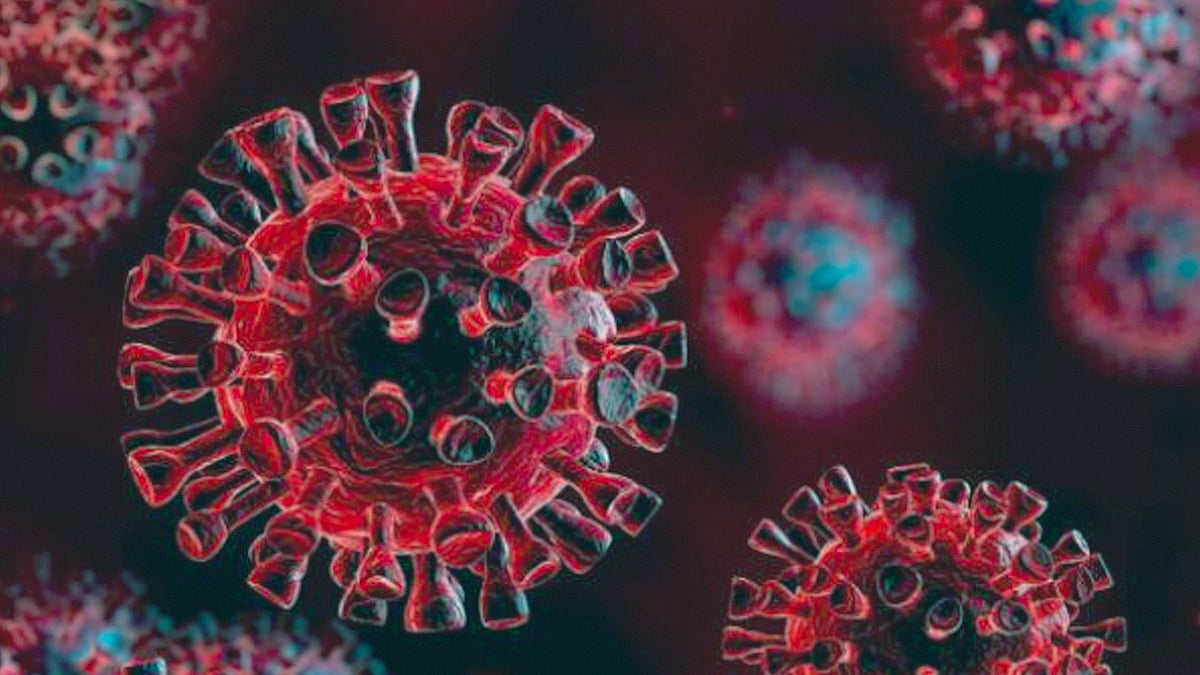 প্রতীকী ছবি