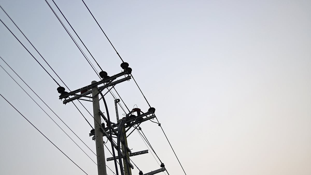 ফাইল ছবি