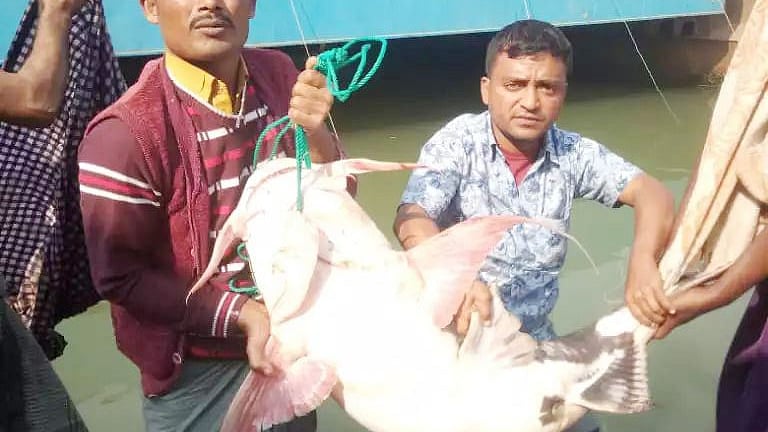 প্রথম আলো