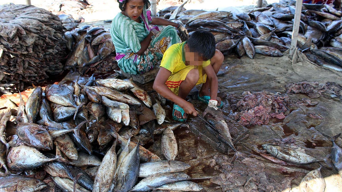 ছবি: প্রথম আলো