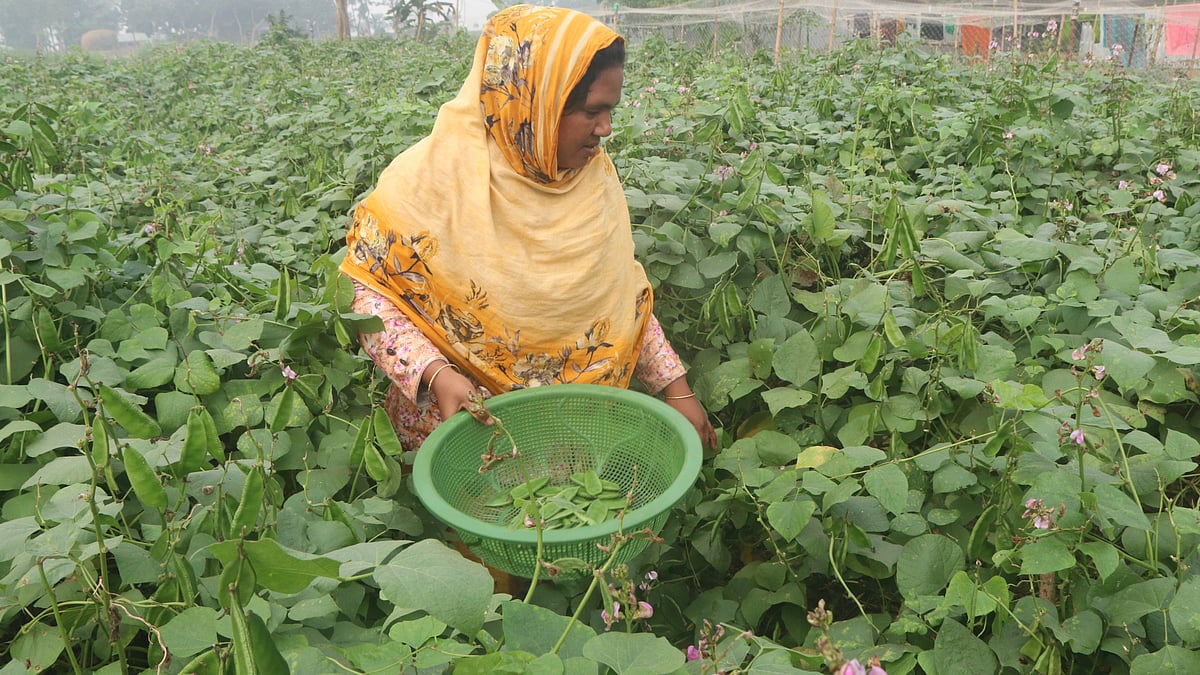 ছবি: প্রথম আলো