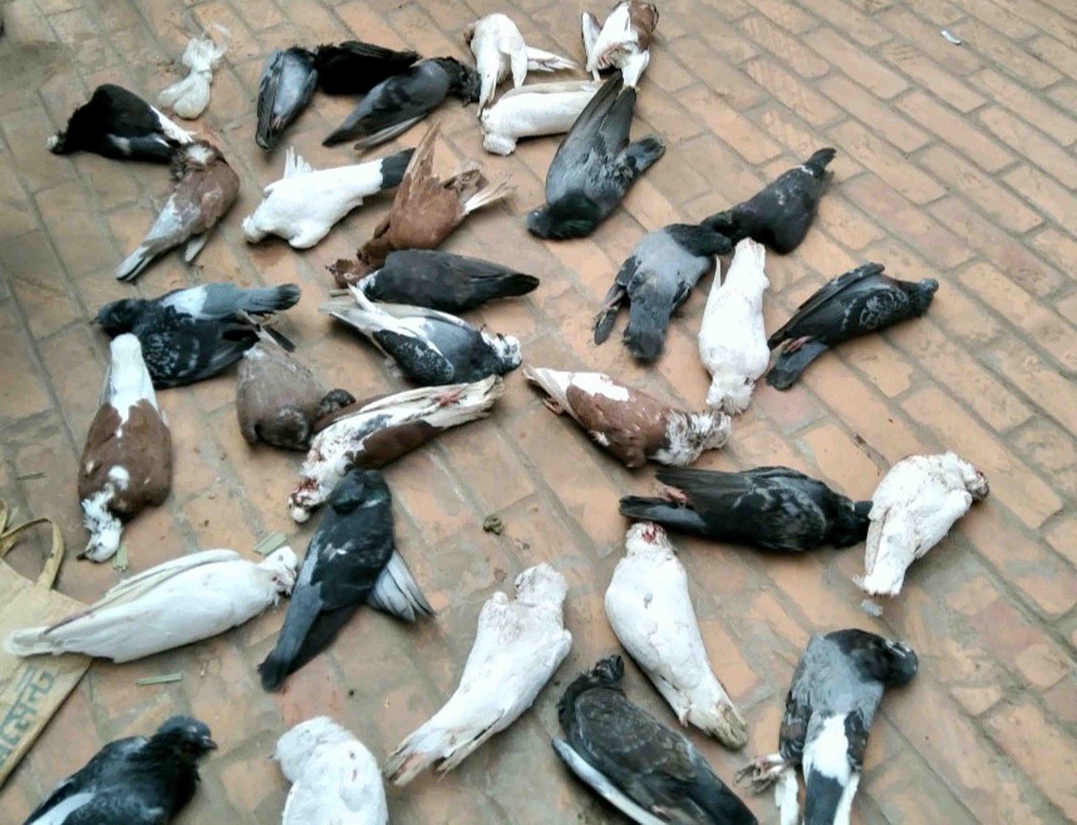 প্রথম আলো