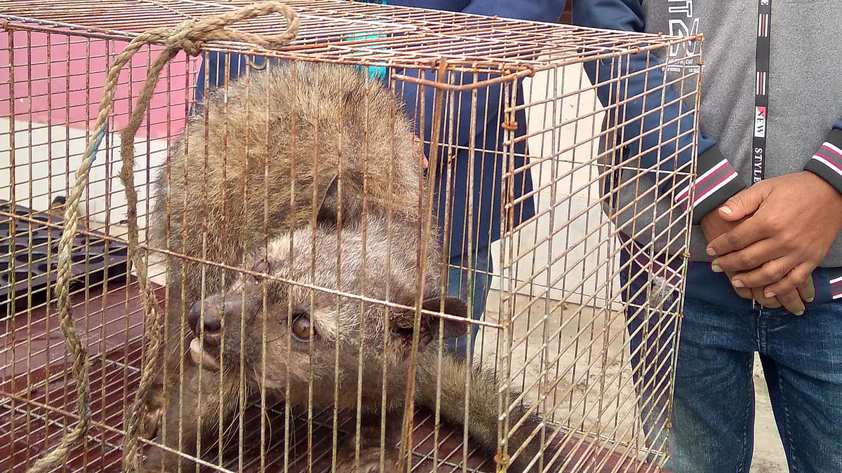 প্রথম আলো