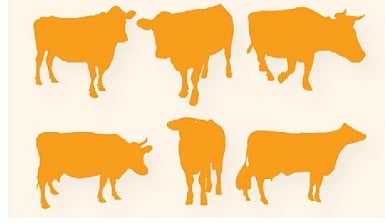 প্রতীকী ছবি