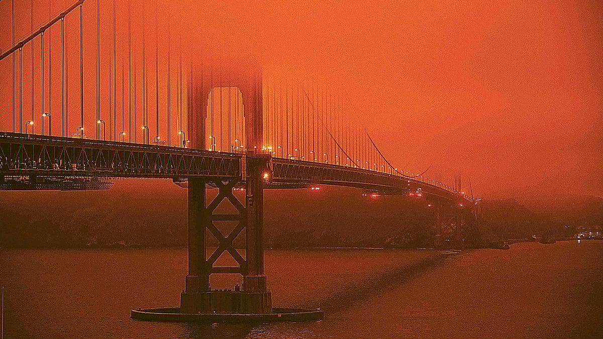 ছবি: এএফপি