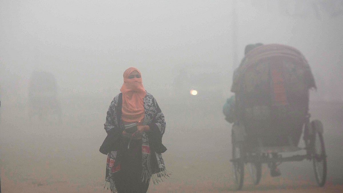 ফাইল ছবি।