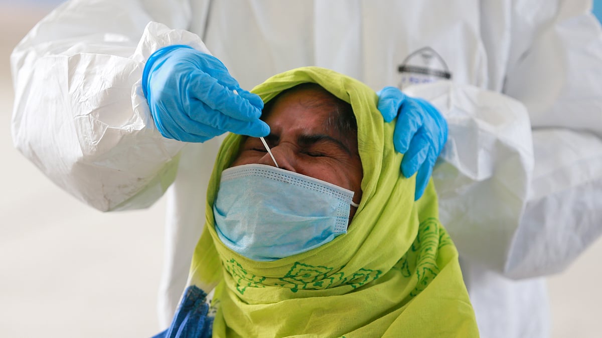 ফাইল ছবি