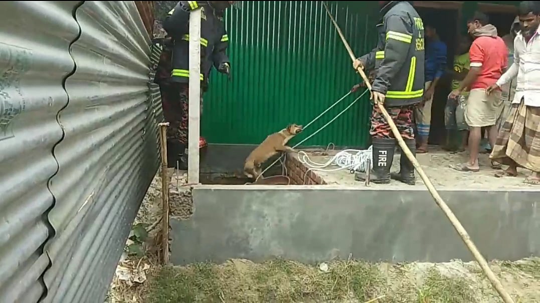 প্রথম আলো