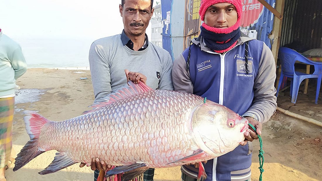 ছবি: এম রাশেদুল হক 