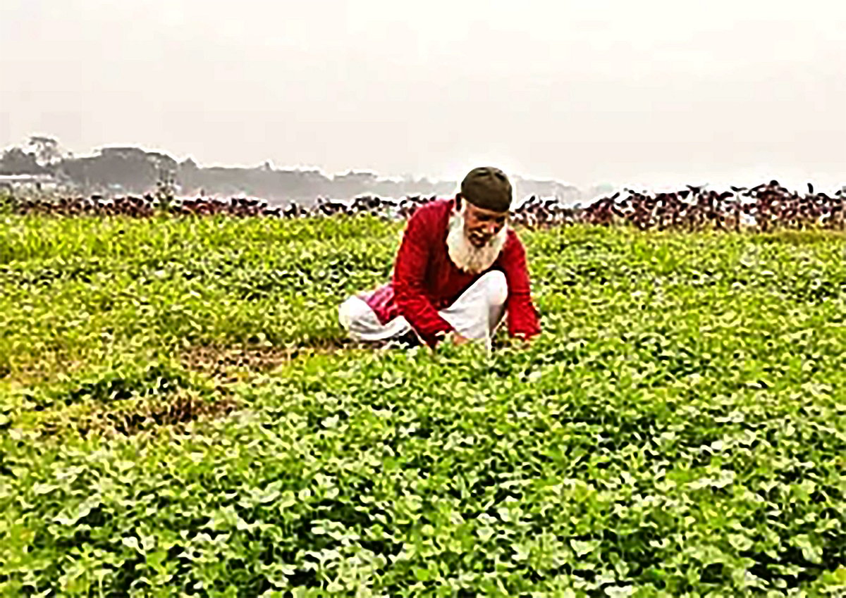 ছবি: লেখক