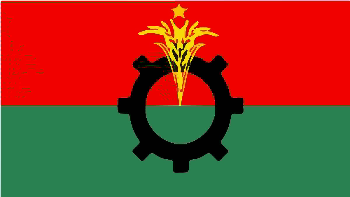 বিএনপির লোগো