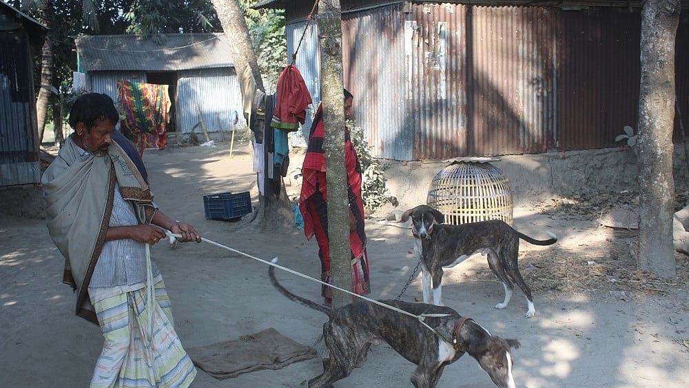 প্রথম আলো