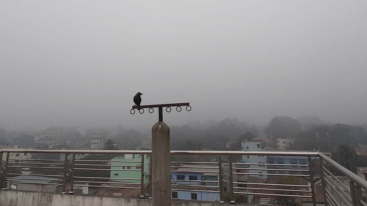 ফাইল ছবি