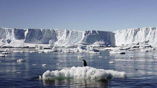 ছবি: রয়টার্স