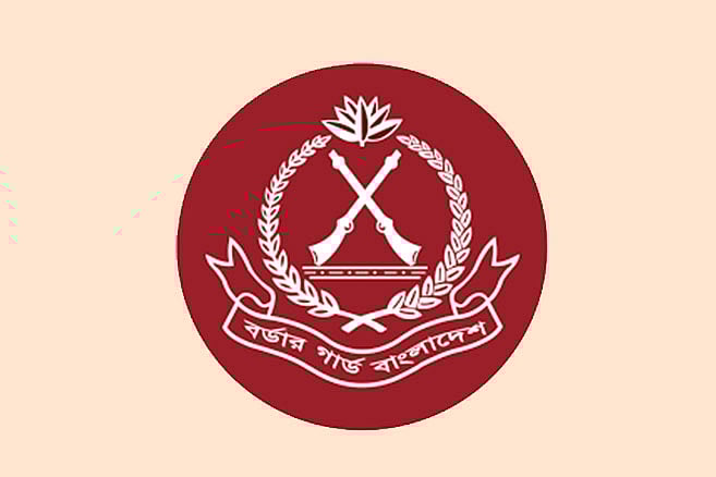 এক বছরে বিজিবির অভিযানে বিপুল অস্ত্র উদ্ধার, ১ হাজার ৯০৮ কোটি টাকার চোরাচালান পণ্য জব্দ