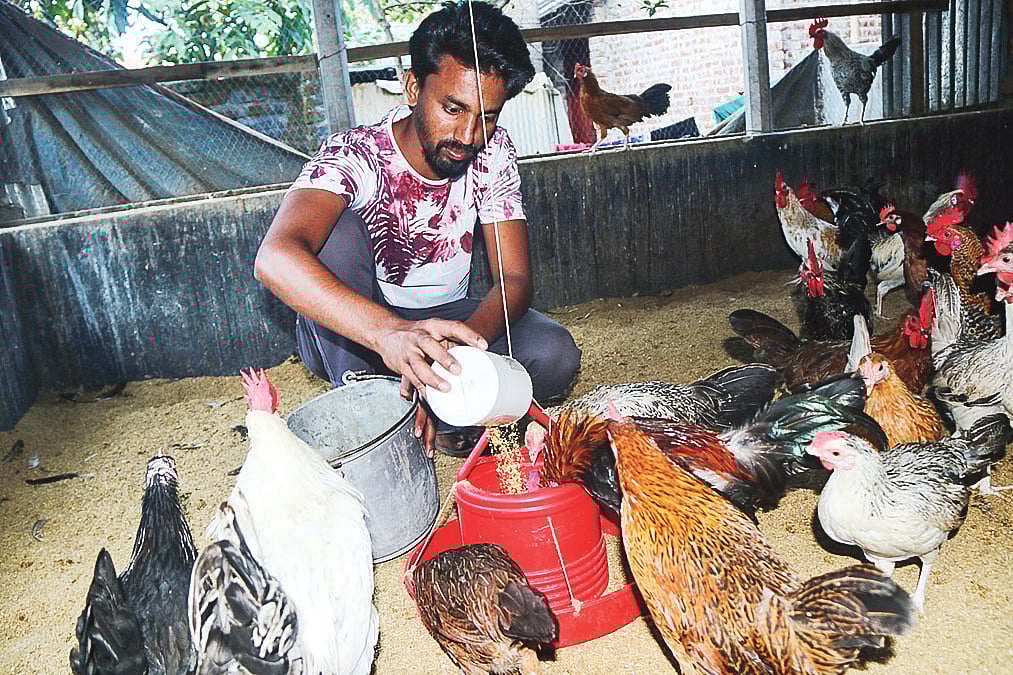 সোয়েল রানা