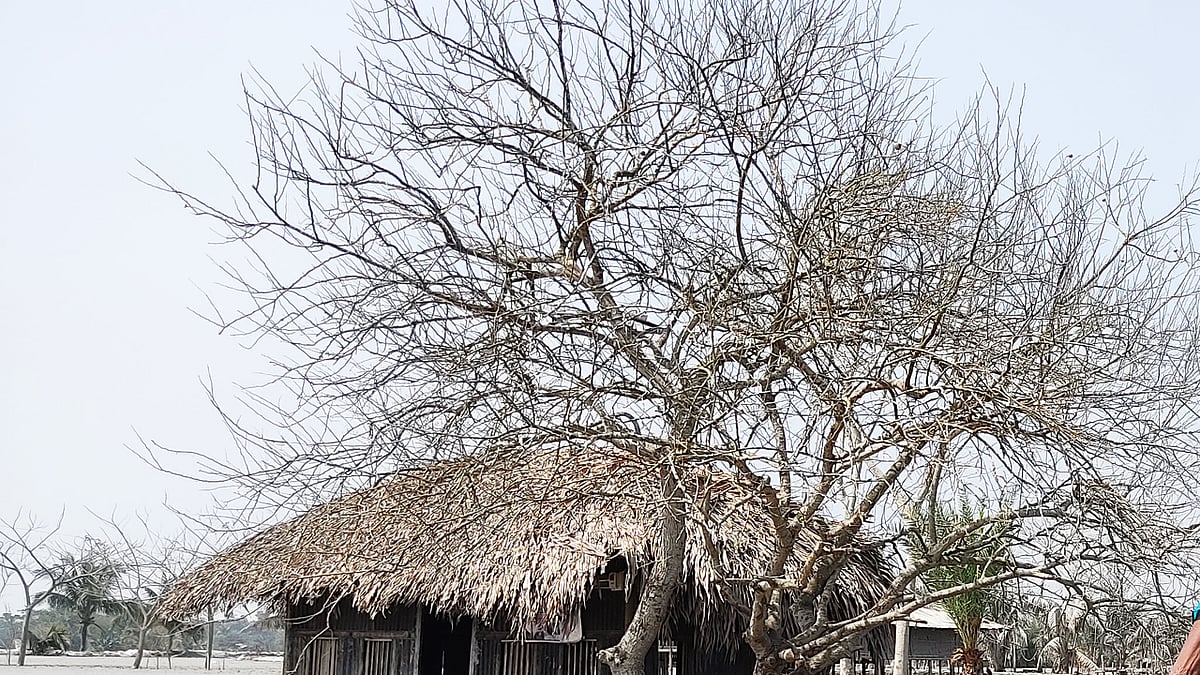 ফাইল ছবি