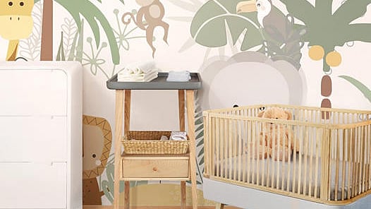 ছবি: ইশো