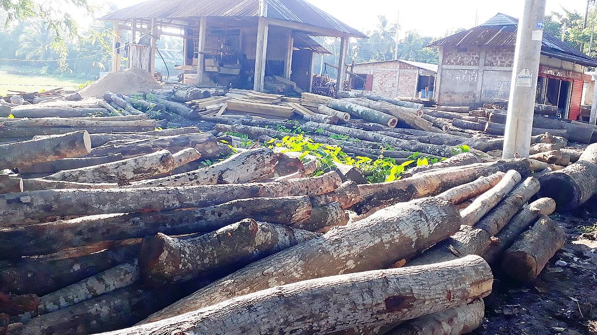 ছবি: প্রথম আলো