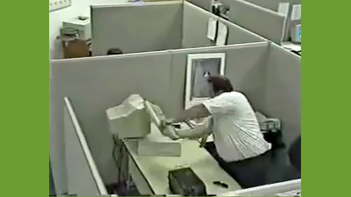 ইতিহাসের প্রথম ভাইরাল ভিডিও ‘ব্যাড ডে’