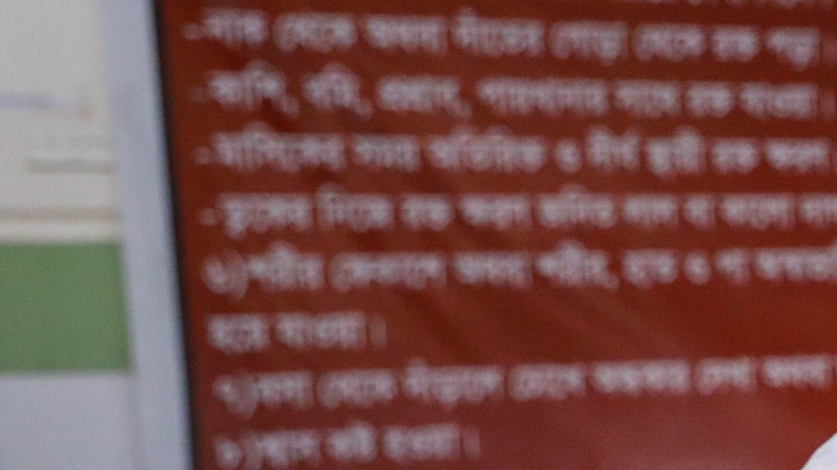 ফাইল ছবি