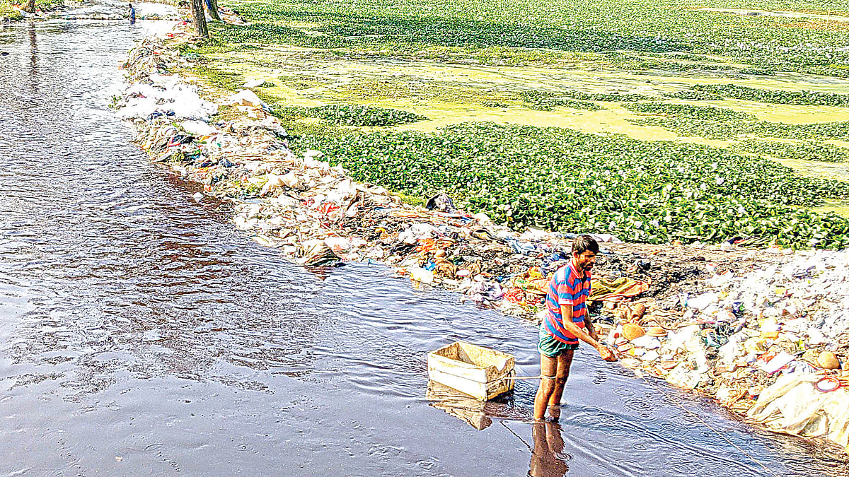 ছবি: প্রথম আলো