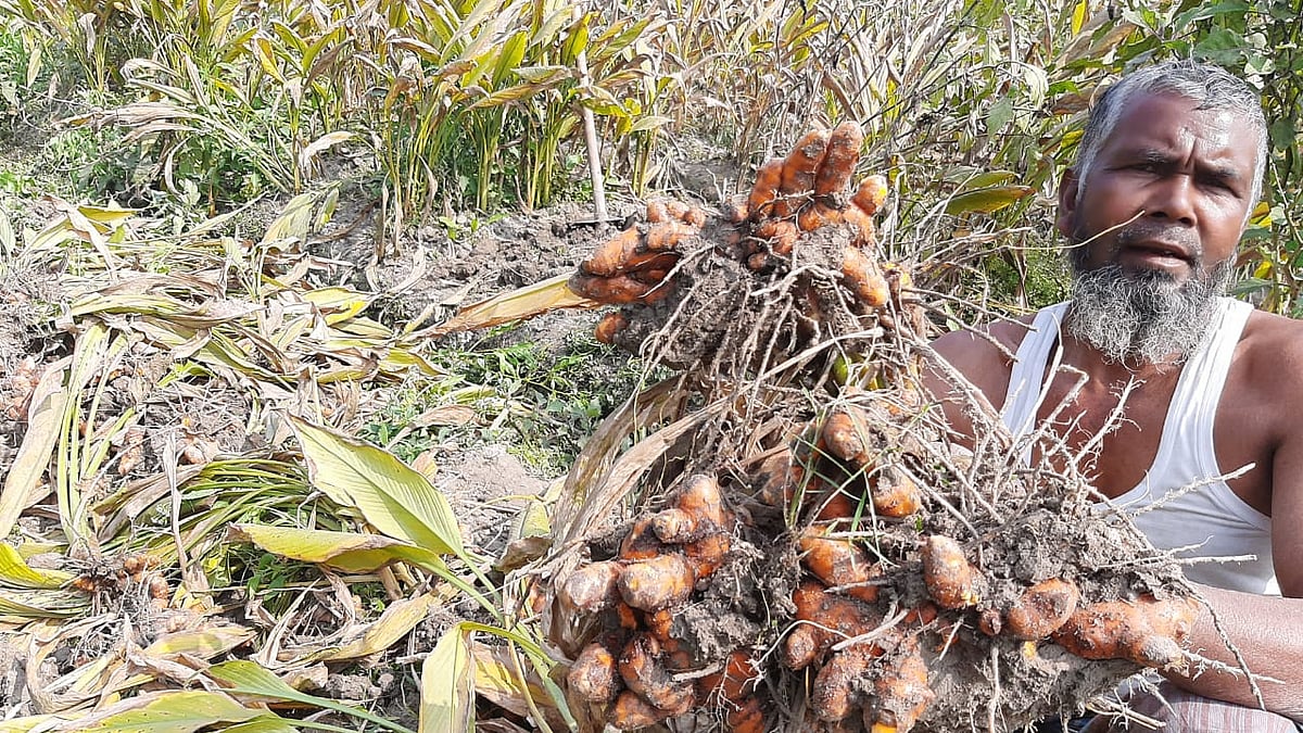 ছবি: প্রথম আলো