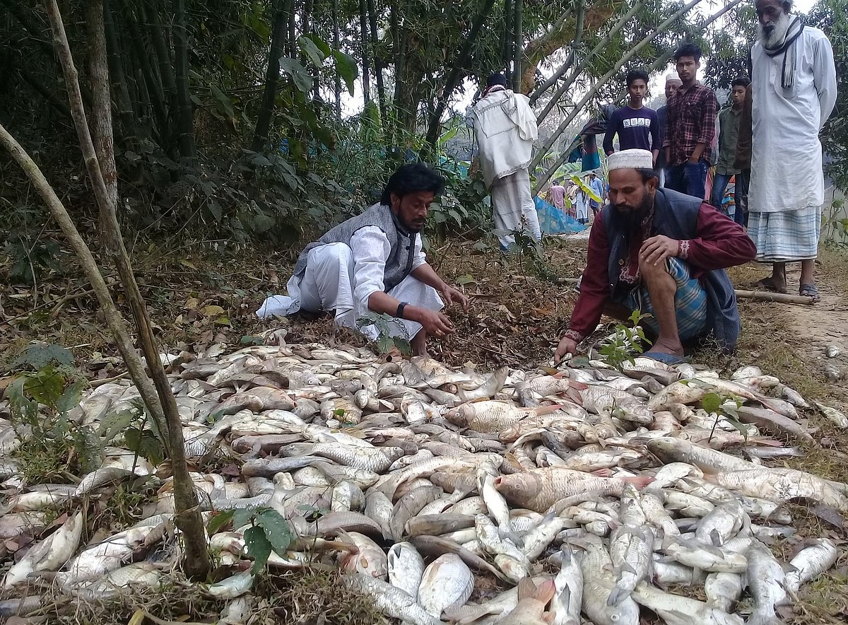  ছবি: প্রথম আলো