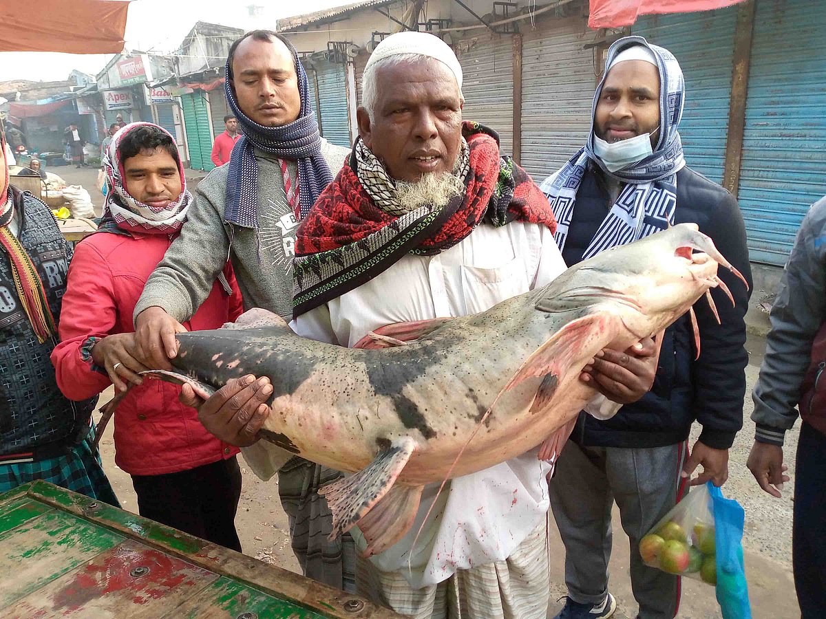 ছবি: প্রথম আলো