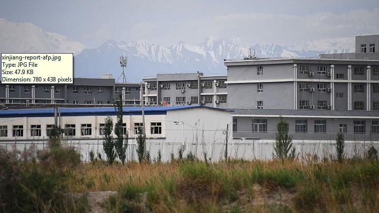 ছবি: এএফপি।