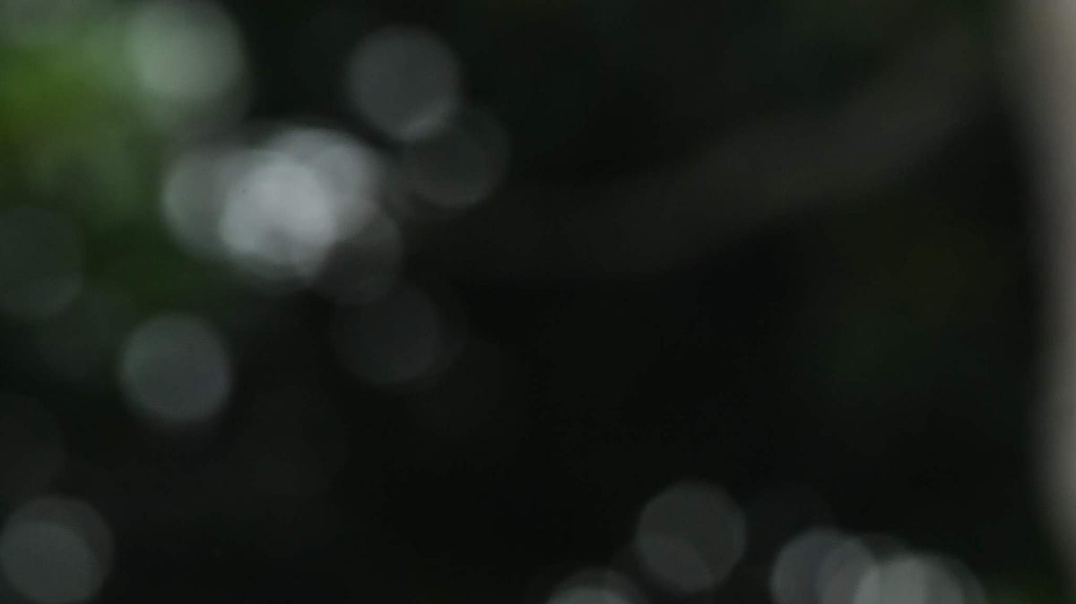 এএফপি ফাইল ছবি। 