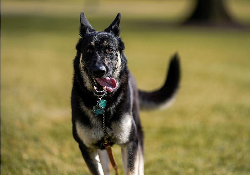 ফাইল ছবি: রয়টার্স