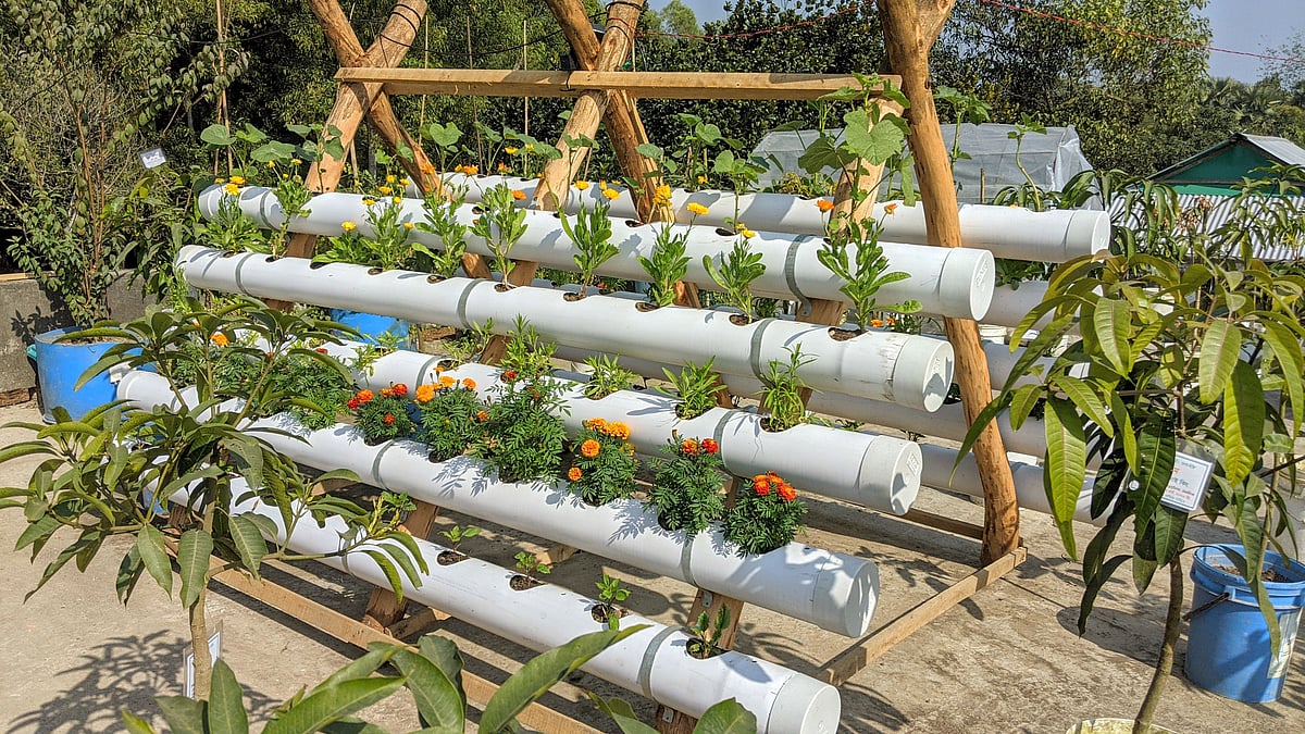 প্রথম আলো