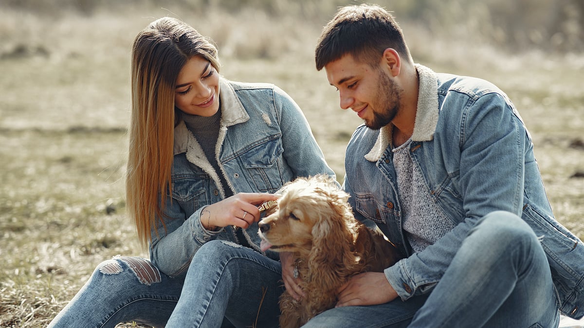 ছবি: গুস্তাভো ফ্রিং,
পেকজেলসডটকম