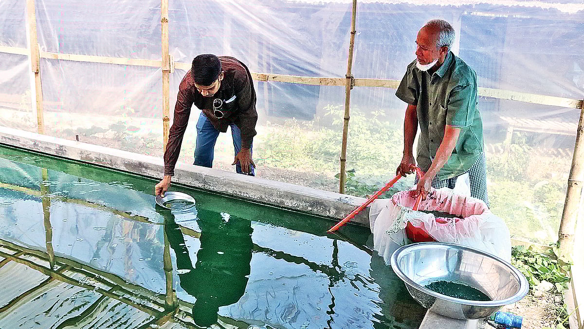 ছবি: শহীদুল ইসলাম