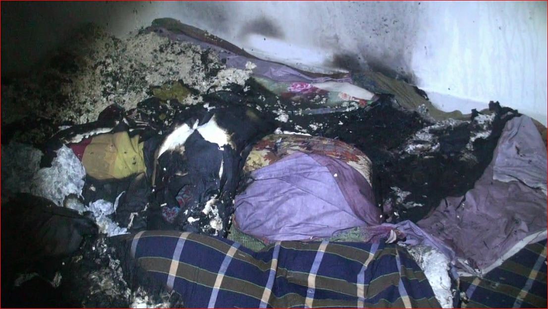 ফাইল ছবি