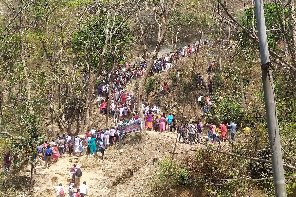 ফাইল ছবি