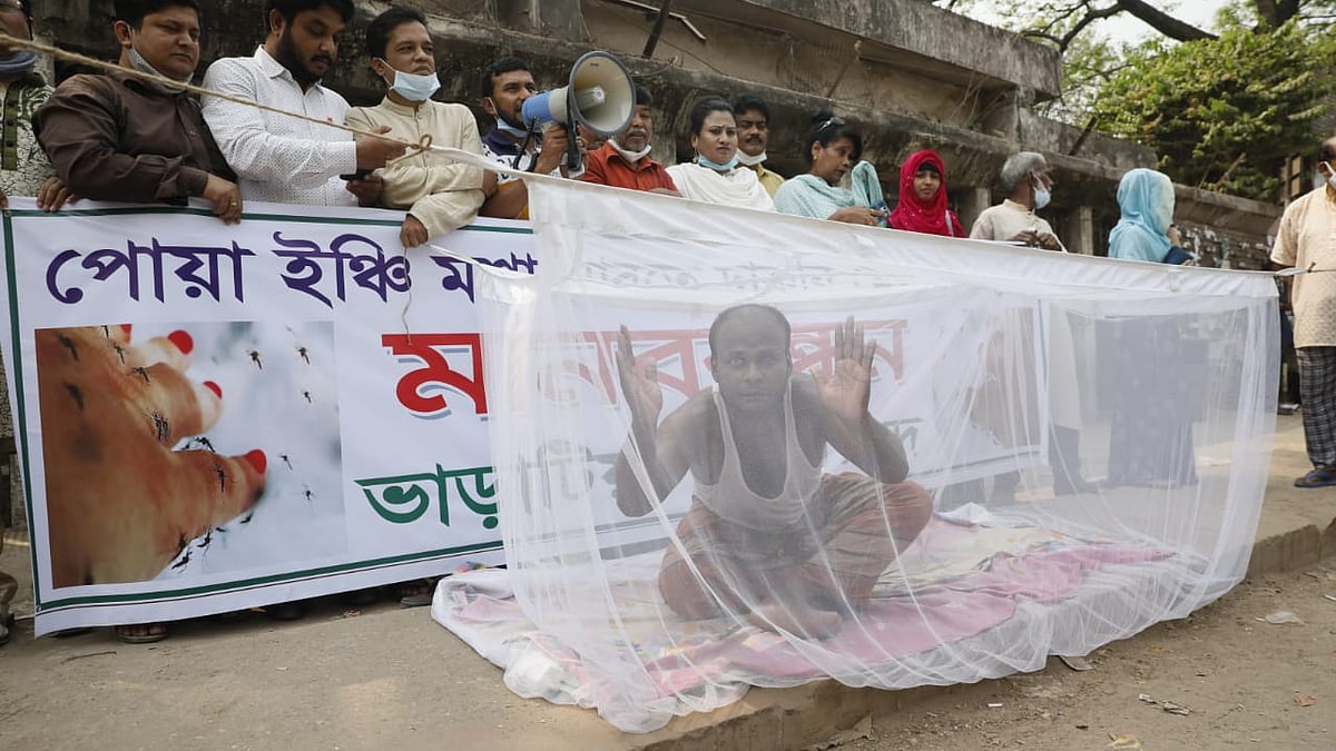 ছবি: আশরাফুল আলম