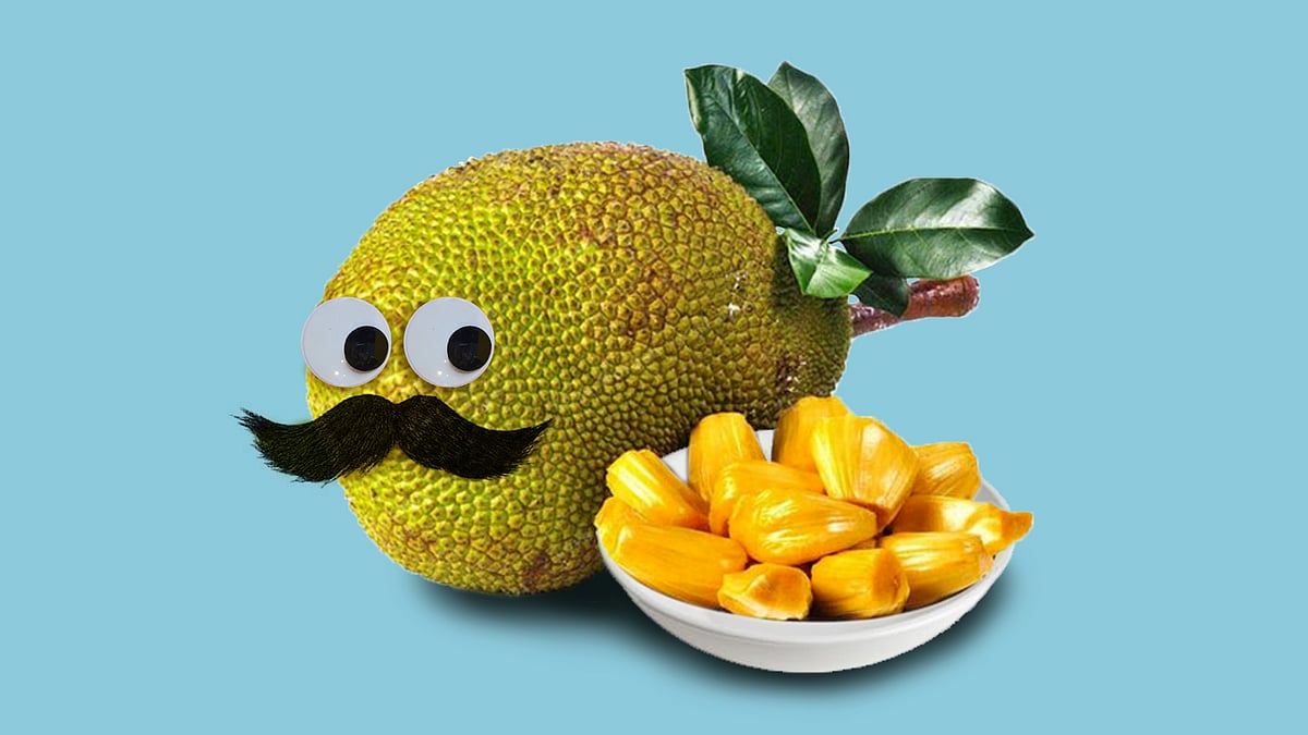 একটু থামুন