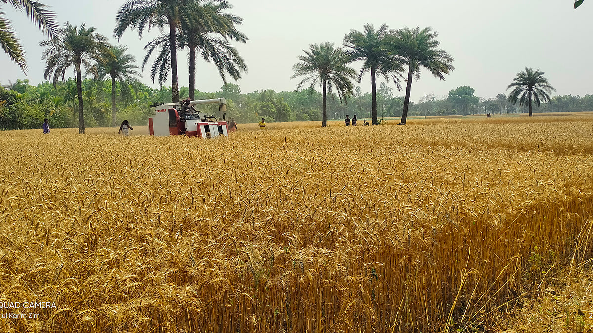 প্রথম আলো ফাইল ছবি