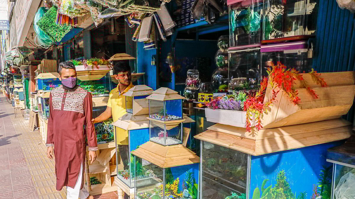 ফাইল ছবি। 