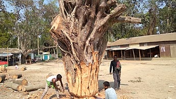 ছবি: প্রথম আলো