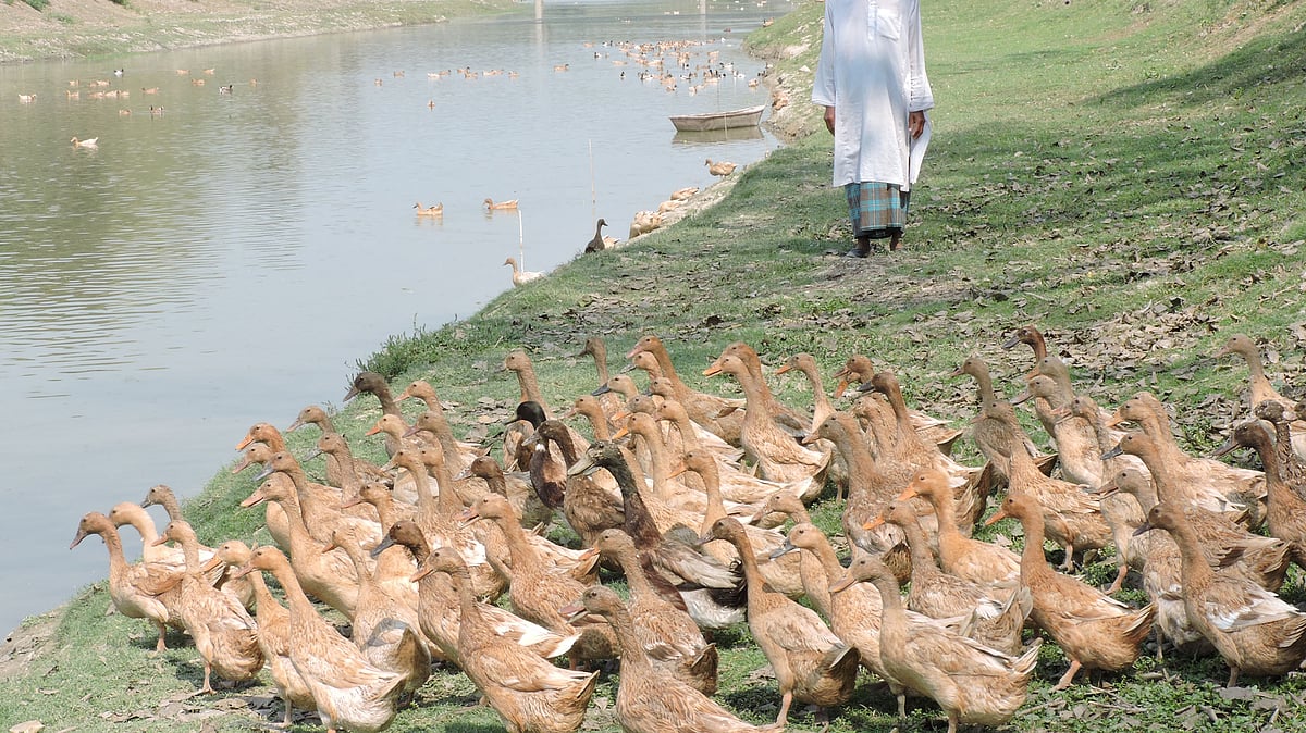 ছবি: প্রথম আলো