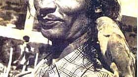 সংগৃহীত