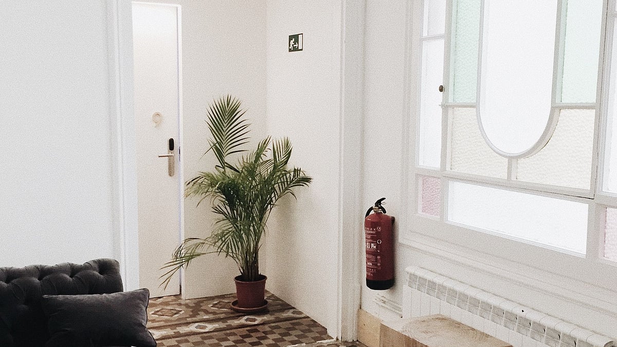 ছবি: লিনা কিভাকা, পেকজেলস ডট কম