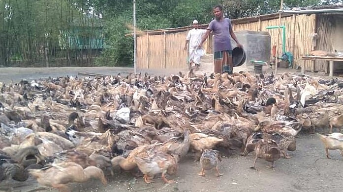 প্রথম আলো