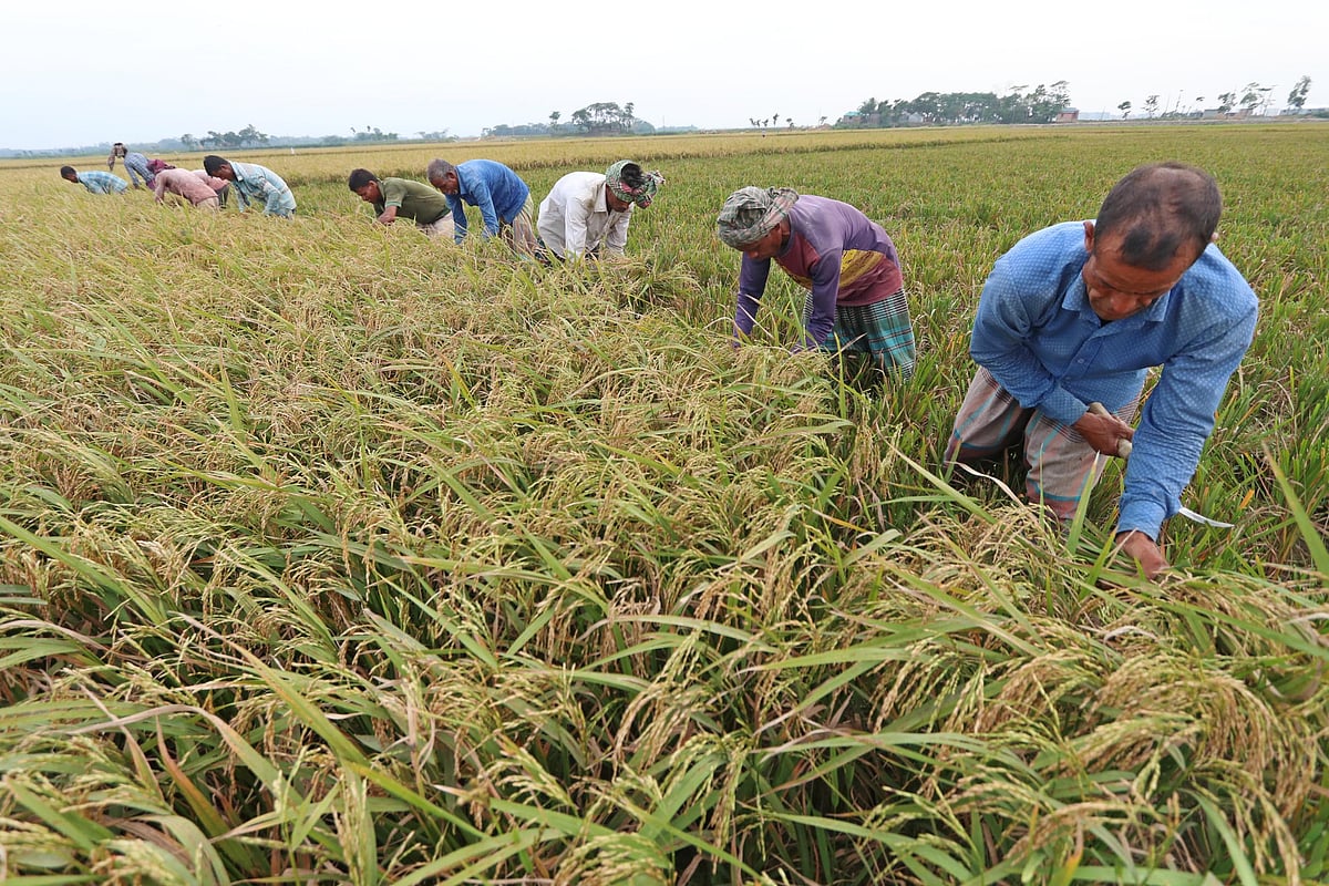 প্রথম আলো ফাইল ছবি