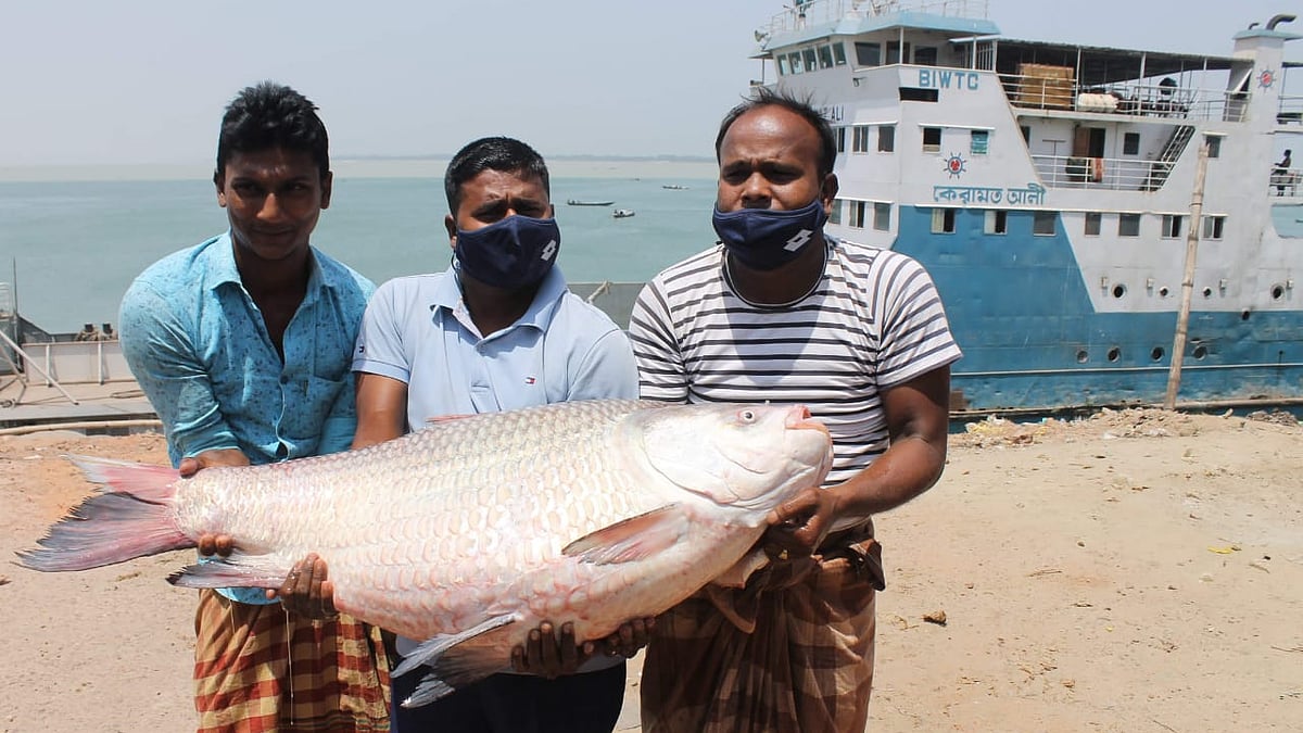 ছবি: প্রথম আলো