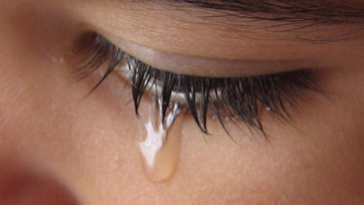 পিক্সাবে