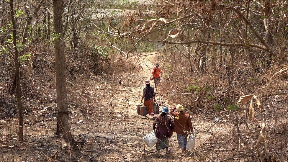 ছবি: বিবিসি সৌজন্য